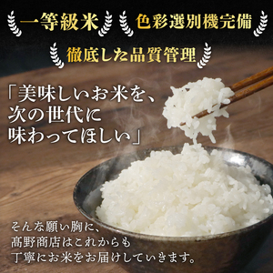 令和8年産 コシヒカリ10kg 日時指定可 こしひかり 千葉県 旭市 有限会社髙野商店