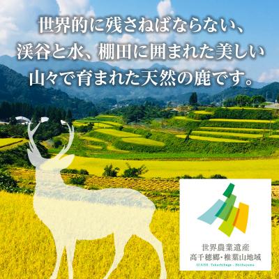 ふるさと納税 高千穂町 天然鹿肉 スライス 700g 宮崎県高千穂町産 |  | 01
