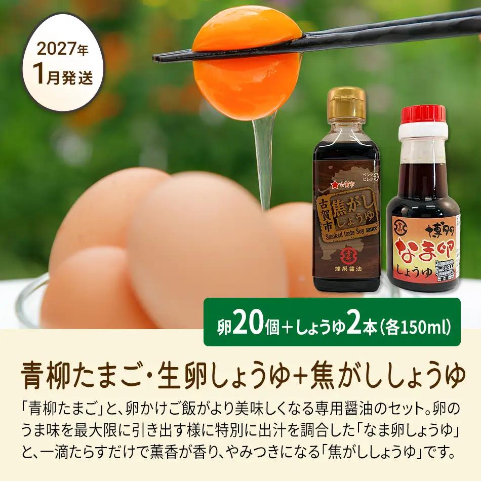 たまご前期定期便 6回発送（初回のみ醤油付き・たまご20個）20個×6回 合計120個 定期便 6ヶ月 卵 青柳たまご 送料無料 【2027年1月～6月の計6回お届け】