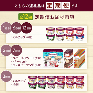 ＜全12回・連続＞1年定期便！ハーゲンダッツ人気 セット アイス スイーツ デザート_H0016-177