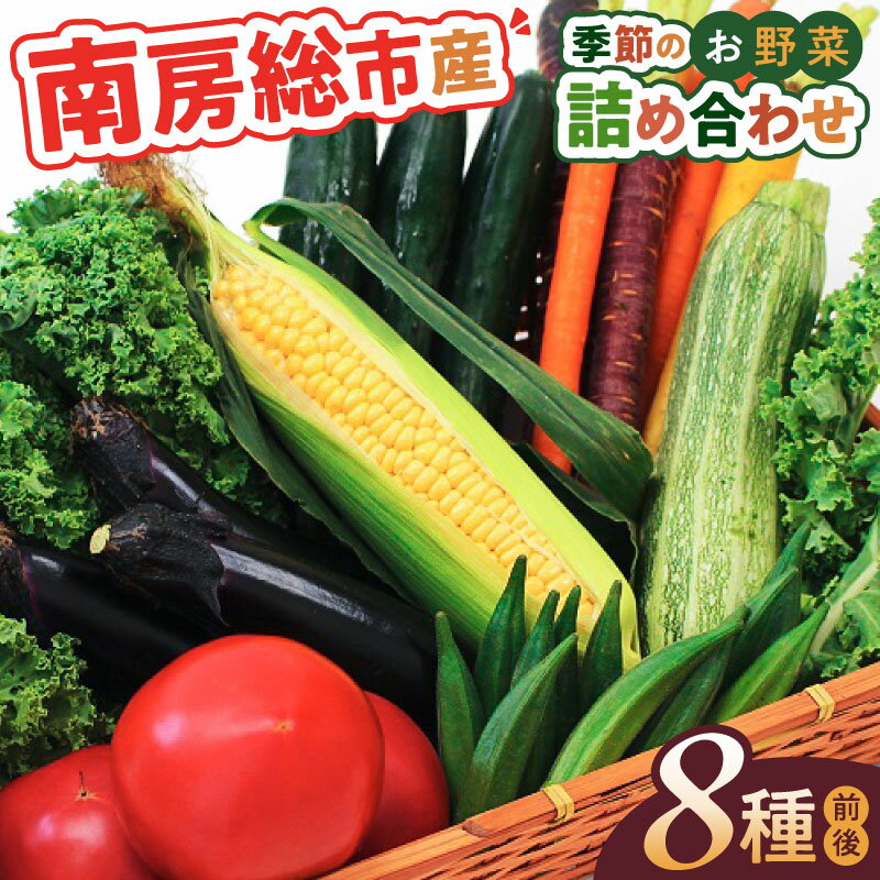【ふるさと納税】 【南房総市産】季節のお野菜詰め合わせ 千葉県 南房総市 旬 新鮮 旬野菜 セット 国産 栄養素 食材 野菜BOX 野菜セット 春野菜 夏野菜 秋野菜 冬野菜 お取り寄せ グルメ 送料無料