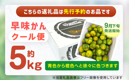 【★先行予約★　2025年9月下旬より発送】早味かん 約5kg 広川町 / JAふくおか八女農産物直売所どろや[AFAB075]