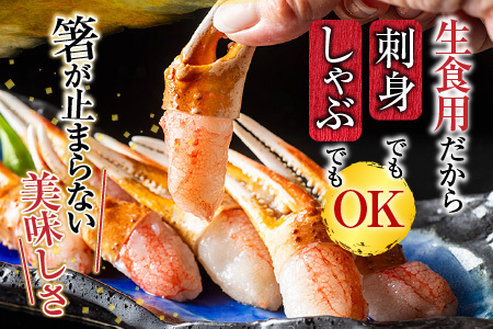 生食用本ズワイガニ爪ポーション1.2kg B-11086