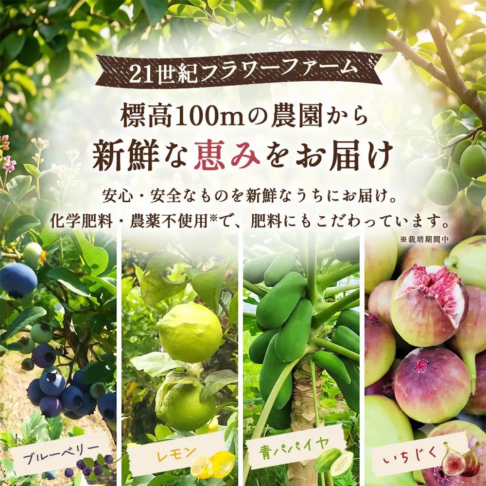 くるまきシフォンセット ／ シフォンケーキ 青パパイヤ ブルーベリー ふわふわ食感 甘さ控えめ 添加物不使用 農薬不使用 有機肥料 エコやまぐち100 シフォンセット 青パパイヤシフォン ブルーベリー