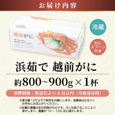 ふるさと納税 美浜町 【年末発送】はるか丸が厳選した越前がに【中サイズ800g〜900g×1杯】 |  | 03