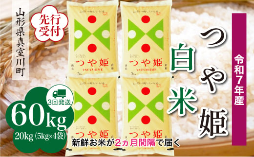 ＜令和7年産米先行受付＞ 真室川町産 特別栽培米 つや姫 【白米】 定期便 60kg （20kg×２ヶ月間隔で3回お届け）＜配送時期指定可＞