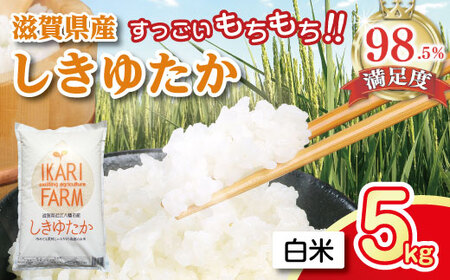 令和7年産 白米 5kg しきゆたか すっごいもちもち 【C002W1】 近江米