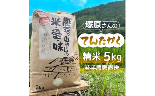 《8月下旬より出荷予定》[令和8年度産] 高齢者の田んぼを受け継ぐ若手後継者「塚原さんのてんたかく」 精米5kg | 米 新米 てんたかく 単一原料米 ふっくら あっさり 和食 お弁当 おにぎり | 大阪府 能勢町 送料無料