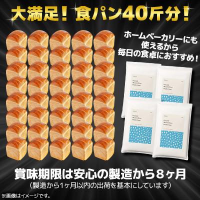 ふるさと納税 室蘭市 【毎月定期便】「春よ恋」「ゆめちから」ブレンド小麦粉 パウダースノー(パン用強力粉)10kg全4回 |  | 01