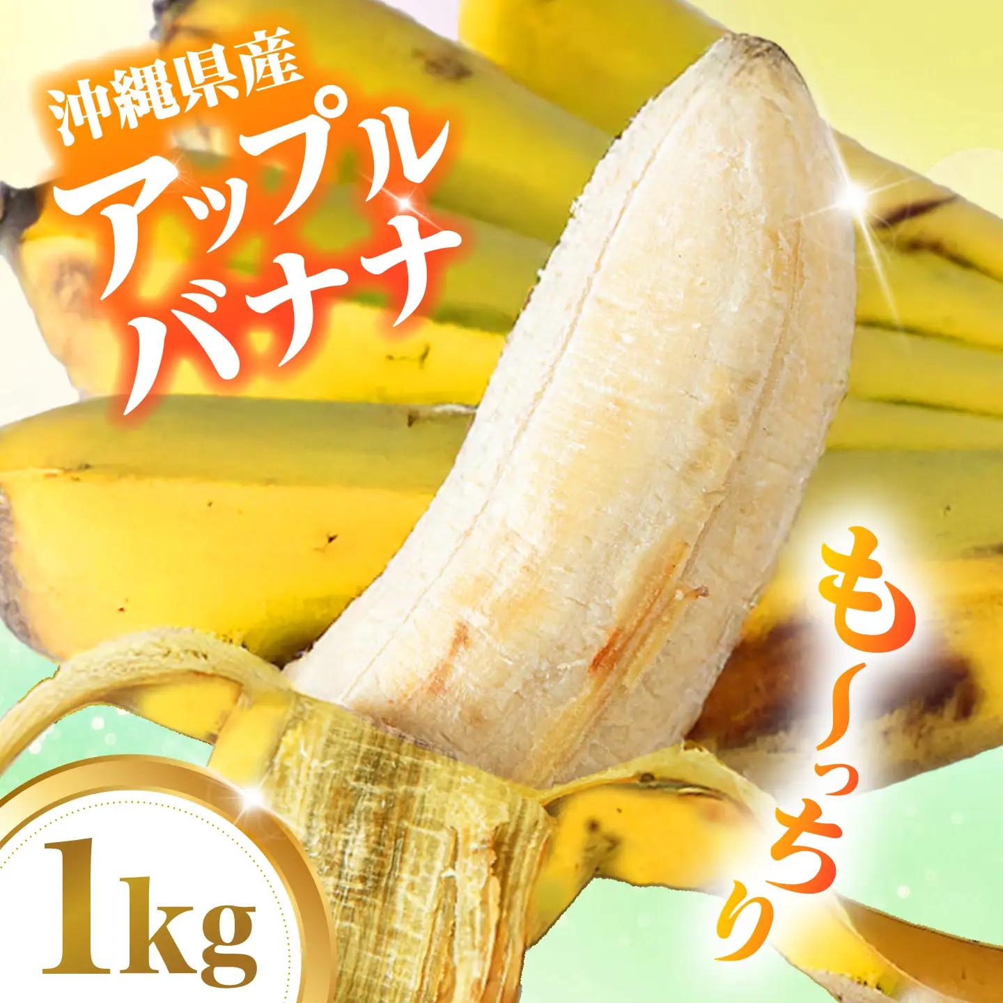 【2026年発送】沖縄県産アップルバナナ 1kg BCBH003