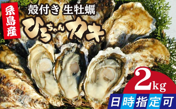
                  【日時指定可】加熱用 殻付き牡蠣 2kg 牡蠣 生カキ 殻付き カキ 生牡蛎 糸島市 / ひろちゃんカキ [AJA021]
                