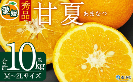 ＜秀品 甘夏 (M～2Lサイズ) 約10kg＞ あまなつ 愛媛 蜜柑 ミカン みかん 果物 フルーツ 柑橘 国産 秀品 ギフト 贈答用 贈り物 贈物 プレゼント 愛媛県産 西予市産 西宇和 特産品 丸二青果 愛媛県 西予市【常温】『2026年3月上旬から順次出荷予定』MMY0023