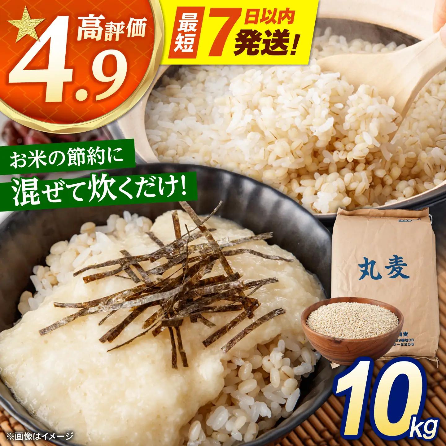 麦 10kg AHBU005 丸麦