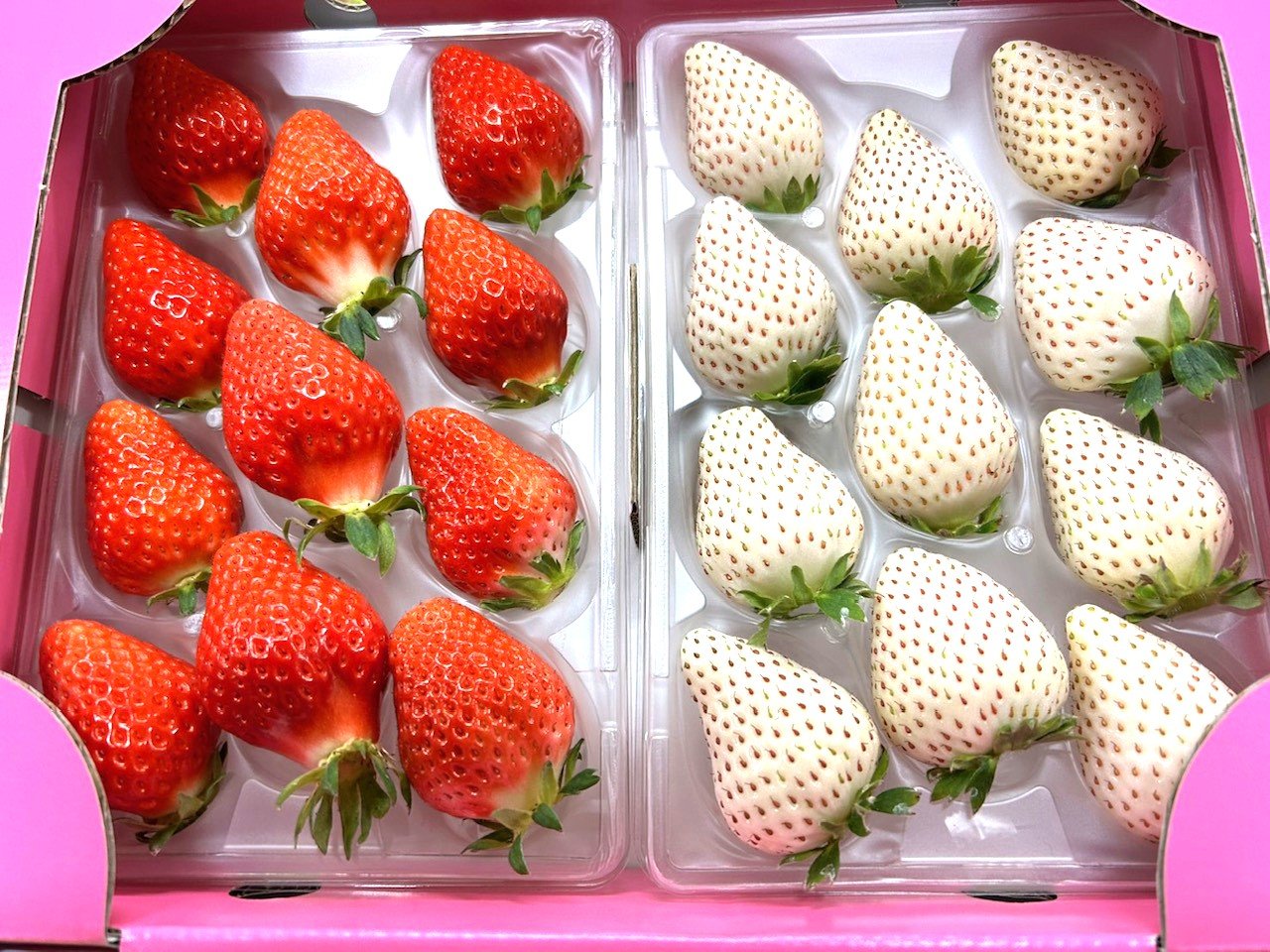 
                  【セット】岸川農園のいちごセット「さがほのか、こころの色」220ｇ×各1P
                