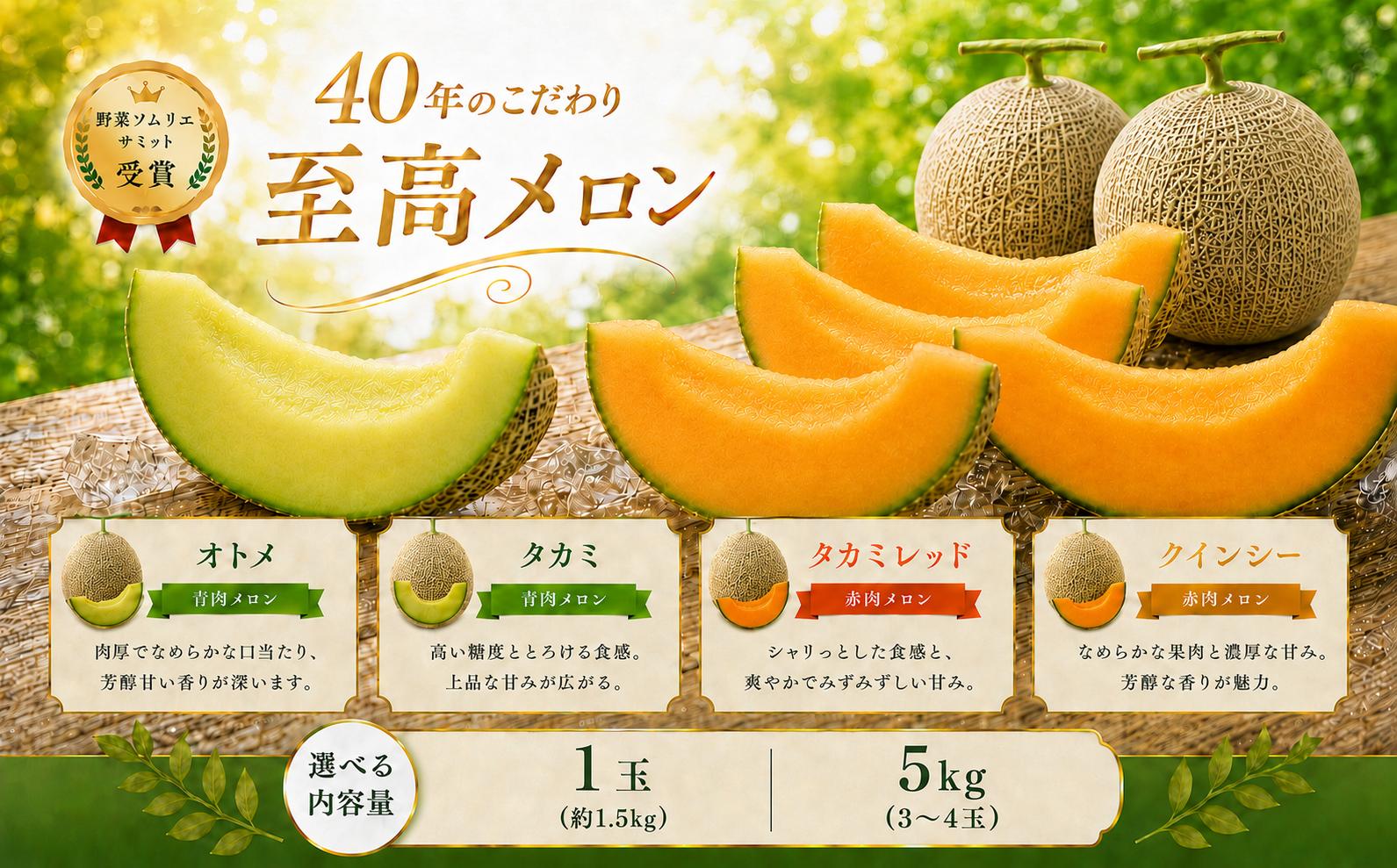 
                  真岡市産 完熟メロン オトメ タカミ タカミレッド クインシー 1玉(約1.5kg) 3玉～4玉(合計約5kg) |2027年 先行予約 完熟 果物 メロン フルーツ ギフト  デザート 栃木県 真岡市 送料無料
                