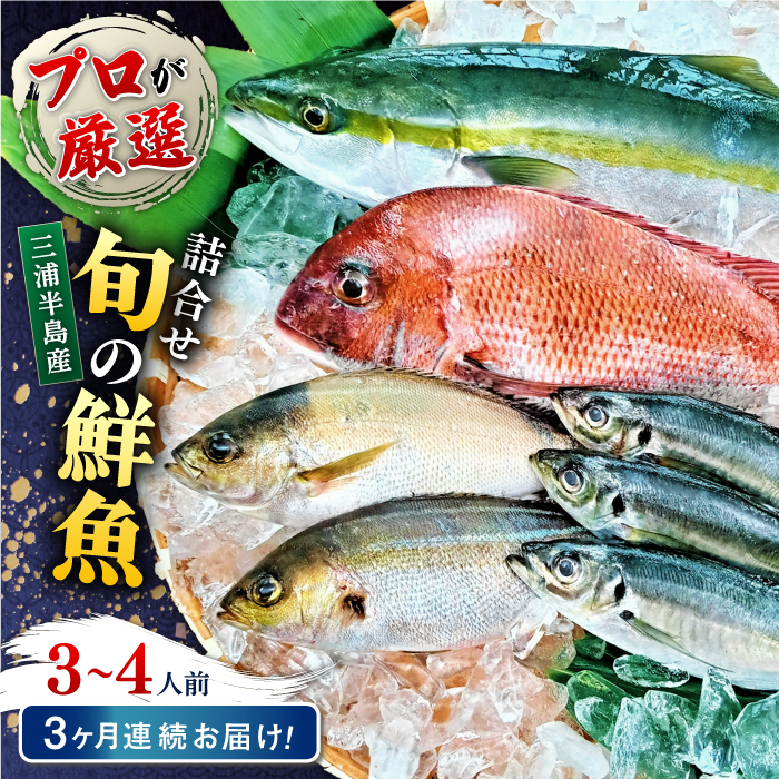 【全3回定期便】旬のおまかせ 厳選鮮魚セット 3～4人前(2～3魚種) 【長井水産株式会社】 [AKAJ015]