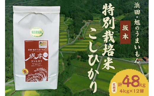 【定期便】【令和6年産】浜田・旭のうまいもん「坂本」特別栽培米こしひかり　4kg×12回 【1022】