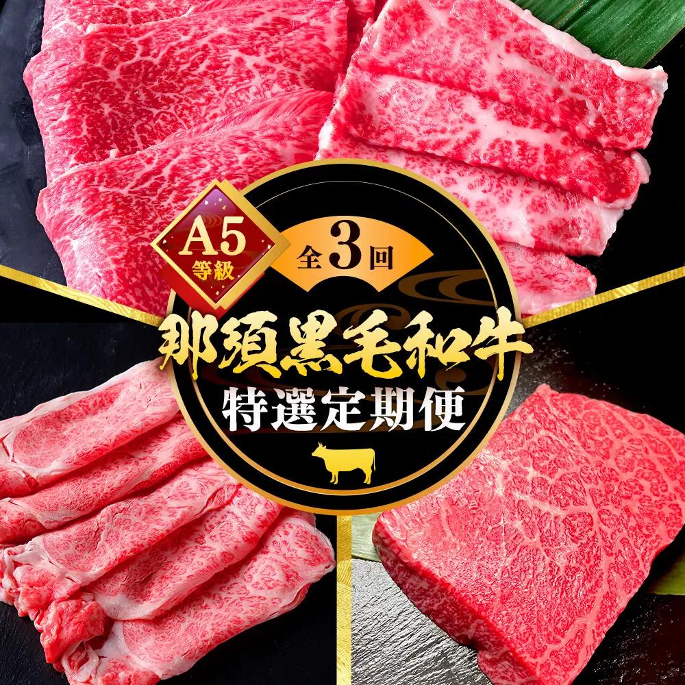 《定期便3回》A5等級 那須黒毛和牛 特選定期便 ステーキ 焼肉セット〔G-28〕| 牛肉 国産 赤身 那須和牛 黒毛和牛 那須黒毛和牛 とちぎ和牛 栃木和牛 ブランド牛 A5 すき焼き しゃぶしゃぶ 焼肉 ステーキ 夜ご飯 夜ごはん 晩ご飯 晩ごはん お取り寄せグルメ お中元 御中元 お歳暮 贈答 贈り物 ギフト プレゼント 母の日 父の日 敬老の日 記念日 誕生日 お祝い 定期便 栃木県 那須町