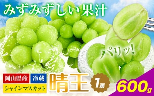 【2026年先行予約】シャインマスカット 岡山県産  シャインマスカット 晴王 1房 600g《2026年9月上旬-10月末頃出荷》 ハレノフルーツ マスカット 送料無料 岡山県 浅口市 フルーツ 果物 国産 くだもの 青果物【配送不可地域あり】