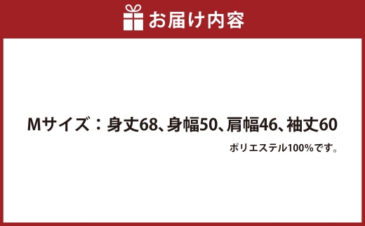 【7日程度で発送】釧路ソウルフードスパカツTシャツ （ ミントグリーン ） Mサイズ 1枚 Tシャツ シャツ 服 スパカツ ソウルフード ファッション オシャレ スタイリッシュ ユニーク 高機能ドライ