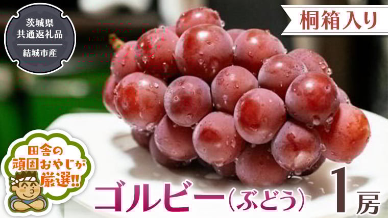 
            【 桐箱入り 】ゴルビー （ ぶどう ） 1房 【2025年9月から発送開始】（茨城県共通返礼品 [ぶどう]：結城市産） ぶどう ゴルビー 果物 フルーツ 季節 旬
          