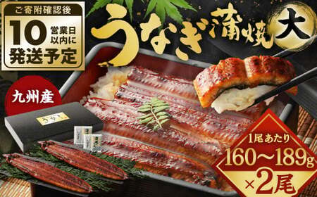 九州産 うなぎ 蒲焼 大 2尾 (1尾あたり160～189g)