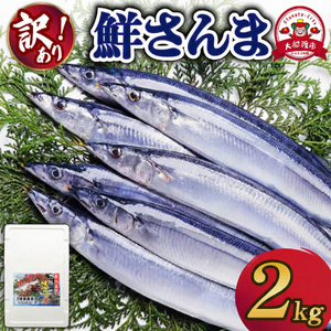 【2026年先行予約】 訳あり 鮮さんま 約2kg ＼ さんま ／