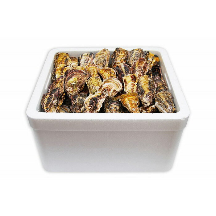 【ふるさと納税】★北海道・沖縄配送不可★［殻付き牡蠣］Lサイズ(大)100個《加熱用》 | 広島かき 広島牡蠣 かき 新鮮 旬 おすすめ 人気 広島県 宮島 廿日市市