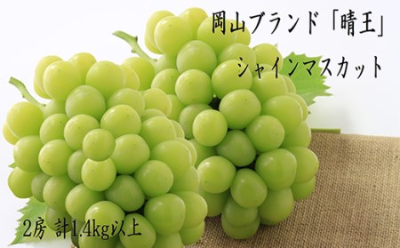 74-17 「晴王」2房（1.4kg以上）【2025年9月上旬～10月上旬発送予定】