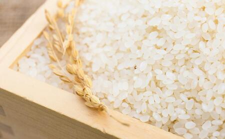 CRAFT 旭川いちご　糀あまざけ　10缶