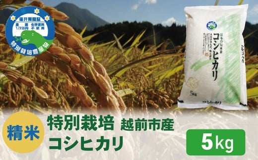 【令和7年度 新米・精米】特別栽培 越前市産コシヒカリ 5kg