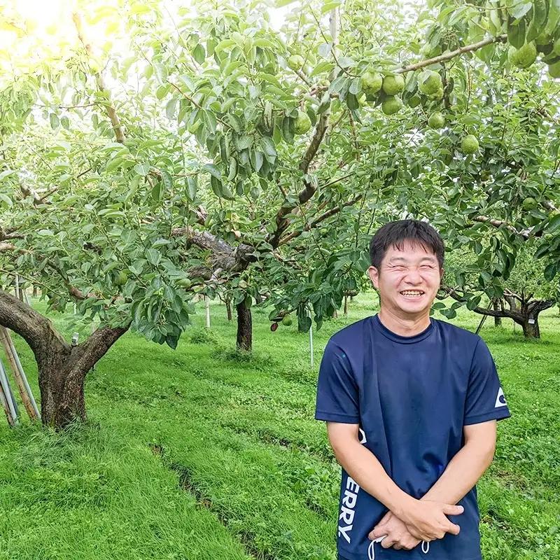 【令和8年産先行予約】ラ・フランス　約3kg 2L以上（秀品）　山形県鶴岡市　庄内産直センター　| ラフランス 洋梨 洋なし 果物 くだもの フルーツ 旬 産地直送 期間限定 人気 美味しい お取り寄