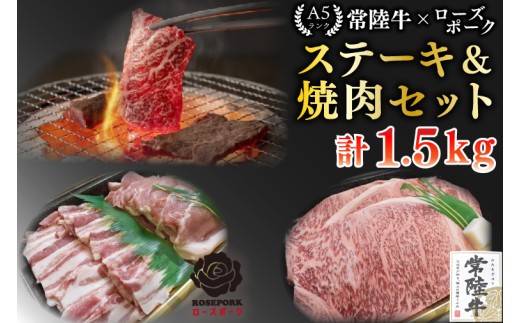
            【常陸牛 A5ランク・ローズポークステーキ焼肉セット】常陸牛サーロイン900g（300g×３枚）＋ローズポーク600g（ロース300g・ばら300g） 冷凍 国産牛 和牛 牛肉 豚肉　ブランド豚 茨城県 水戸市 食べ比べ セット商品 国産 BBQ  老舗精肉店 EK-61

          