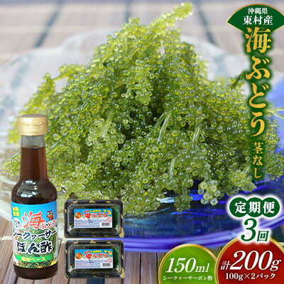 【ふるさと納税】【定期便：3回】美ら海 沖縄県産 海ぶどうセット／茎なし200g（100g×2パック）ポン酢付 海ブドウ 海ぶどう うみぶどう パック 茎なし クビレズタ たれ付き 海鮮 海藻 プチプチ おつまみ 沖縄料理 ご当地 特産品 グルメ 人気 居酒屋 常温 沖縄県 東村