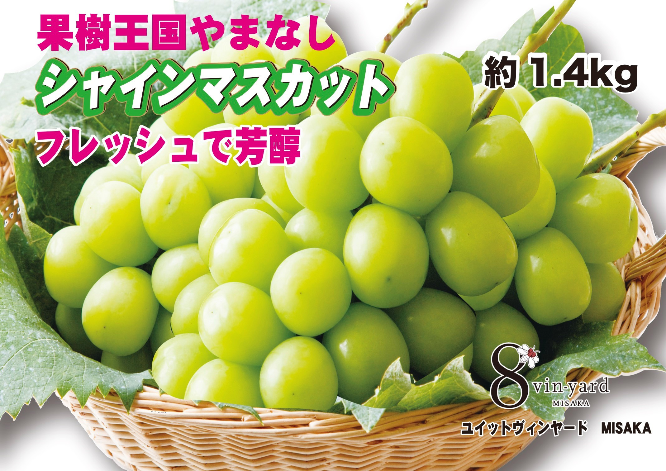 
            ＜25年発送先行予約＞フレッシュで芳醇シャインマスカット2-3房　約1.4kg★ 016-001 ｜ シャインマスカット 発送 フレッシュ 笛吹市 山梨県 フルーツ 果物 ぶどう 葡萄 大粒 おすすめ シャインマスカット 贈答 シャインマスカット ギフト 産地 期間限定 笛吹市 シャインマスカット 笛吹 葡萄 国産 ぶどう 人気 1キロ 国産シャイン マスカット 先行 予約 青果  |
          