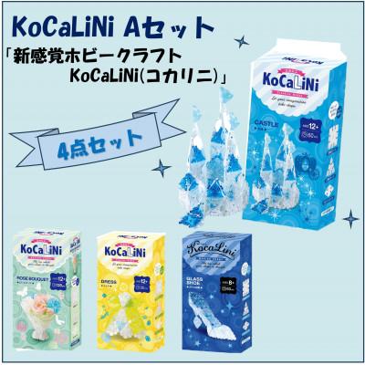 ふるさと納税 大淀町 KoCaLiNi Aセット