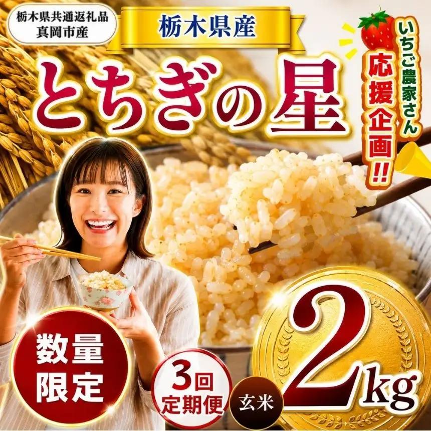 【定期３回】先行予約【令和8年度産】栃木県産とちぎの星 2kg | 【栃木県共通返礼品】 