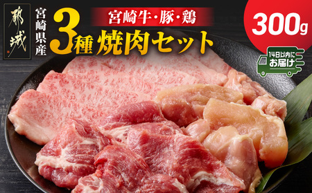 宮崎県産≪宮崎牛・豚・鶏≫3種の焼肉セット300g≪みやこんじょ快速便≫_AA-89-003-300g-R_(都城市)  宮崎県産 焼肉セット 宮崎牛バラ 豚肉(ロース又は肩ロース) 鶏モモ肉