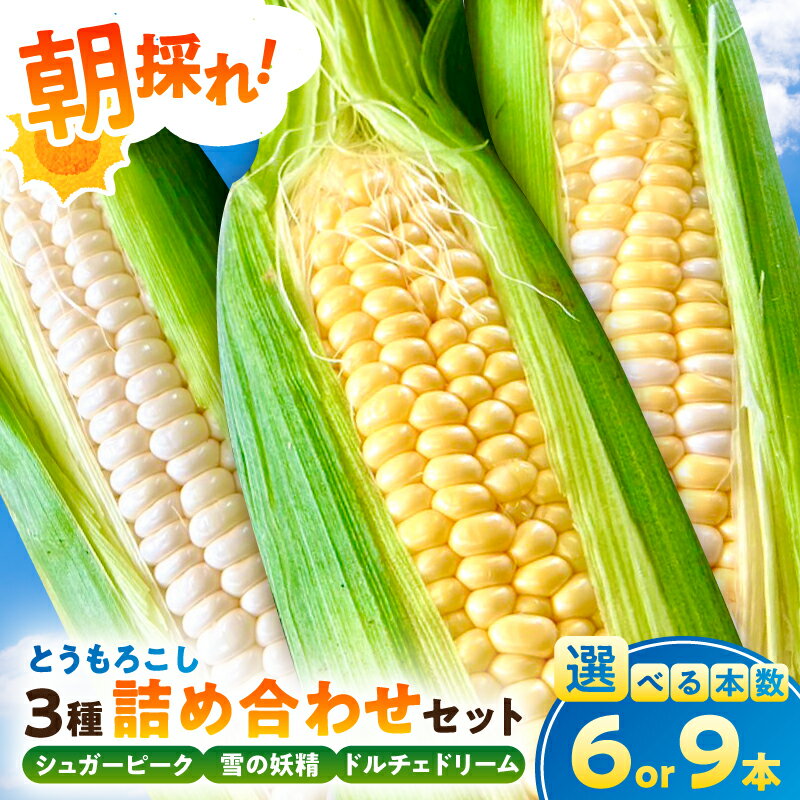 【ふるさと納税】【本数が選べる】【千葉県産】朝採れとうもろこし3種詰め合わせセット 千葉県 南房総市 野菜 野菜 旬 皮付き とうもろこし コーン お取り寄せ グルメ 送料無料