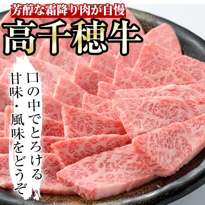 高千穂牛 三角カルビ(500g)【MT012】【JAみやざき 高千穂牛ミートセンター】