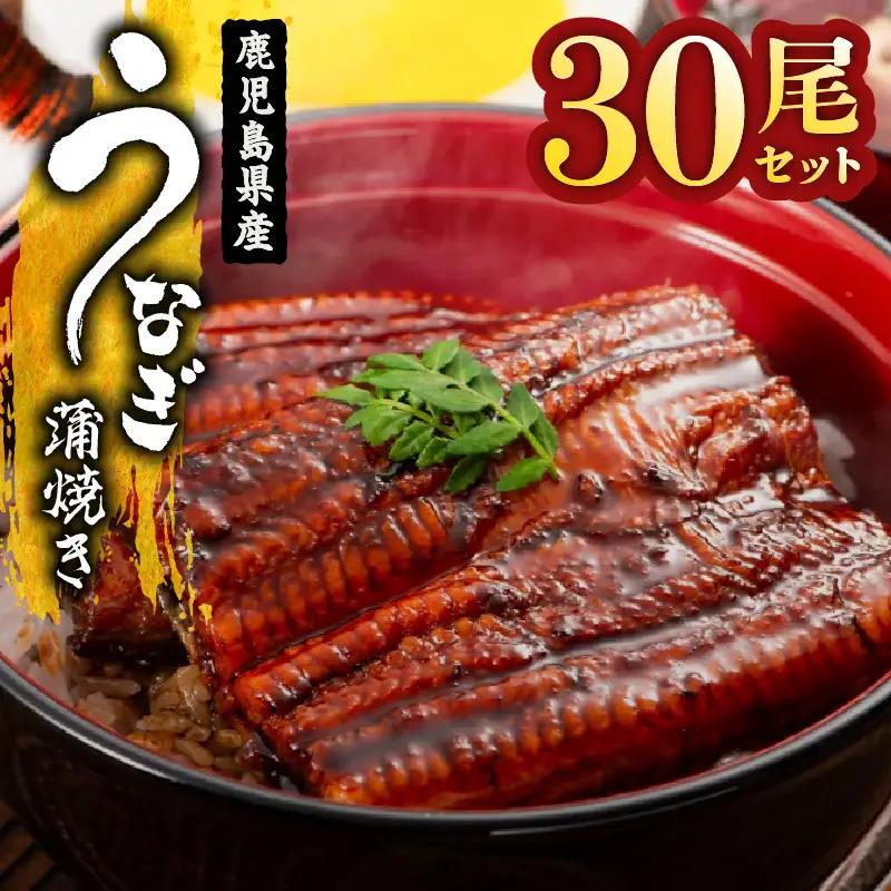  2121 鹿児島県産 うなぎ蒲焼 30尾 KN058-002-30 魚 冷凍 鰻