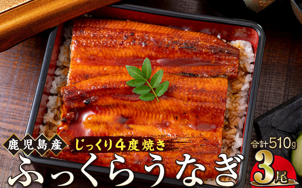 うなぎ 蒲焼 170g×3尾【鹿児島産】地下水で育てた絶品鰻 464686_AQ107