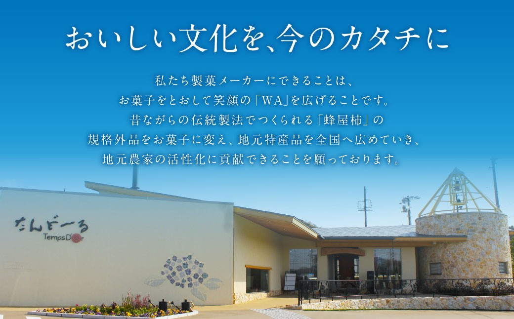 蜂屋柿ふぃなんしぇ 6個入