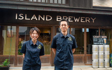 【全2回定期便】クラフトビール IPA 6本【ISLAND BREWERY】《壱岐市》【原田酒造有限会社】ビール 酒 beer 魚に合う アルコール[JED038]