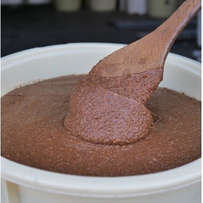 岩泉みそ〔特選〕900g×2パック  18ヶ月長期熟成 天然醸造 無添加味噌 発酵生味噌 自家製米麹【配送不可地域：離島】【1710106】