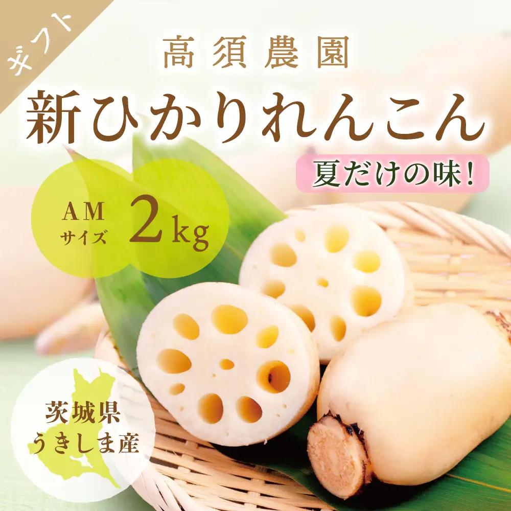 夏だけの味！「新ひかりれんこん」ギフト2kg (AMサイズ) 化粧箱入 [1742]