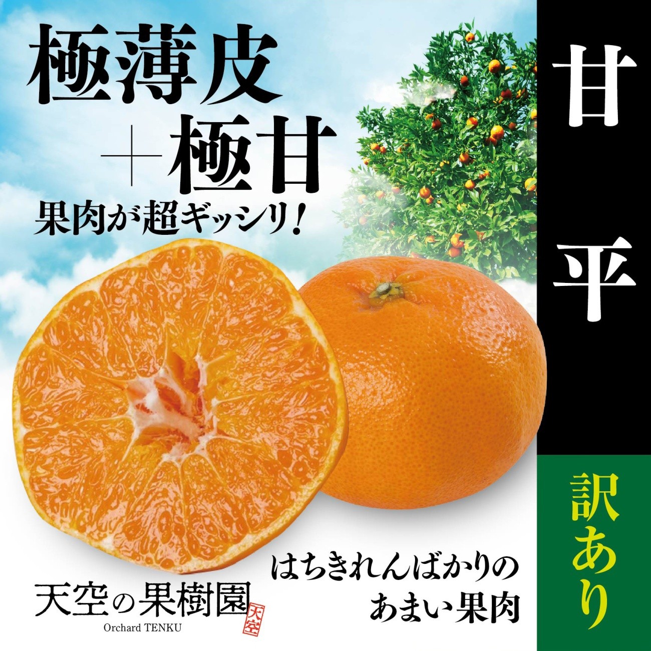 
                  【先行受付】天空の果樹園から届く そら甘平 (3.5kg) 【訳あり】＞【95-15】【1757728】 YWTAQ019
                