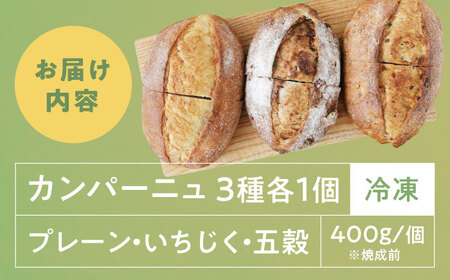 　【冷凍】カンパーニュ3種セット (プレーン・いちじく・五穀) 愛媛県大洲市/株式会社アライ 冷凍パン ハードパン 食事パン 朝食 ベーカリー 冷凍[AGAY050]