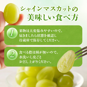 【2026年先行受付】 シャインマスカット 晴王 秀品 大房 約5kg(5～9房) 岡山県産 岡山県産 ぶどう 葡萄 ブドウ ギフト 御礼 プレゼント 御礼 御祝 御供 果物 くだもの フルーツ