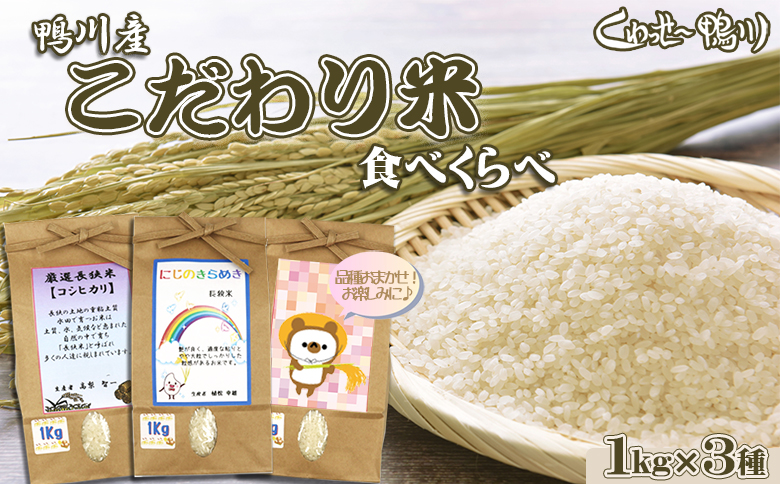 《令和６年産》【くわっせ～鴨川】鴨川産『こだわり米』精米１kg×３種《コシヒカリ・虹のきらめき・おまかせ》　[0009-0028]